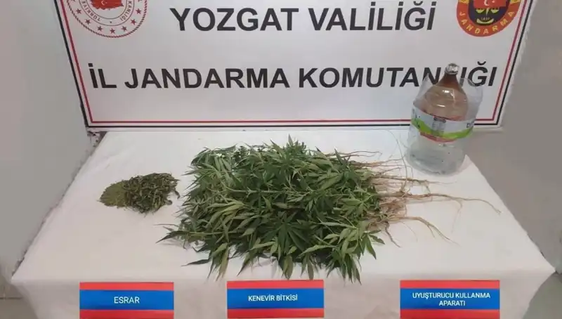 Yozgat'ta 40 Kök Kenevir Operasyonu! Neler Oluyor?