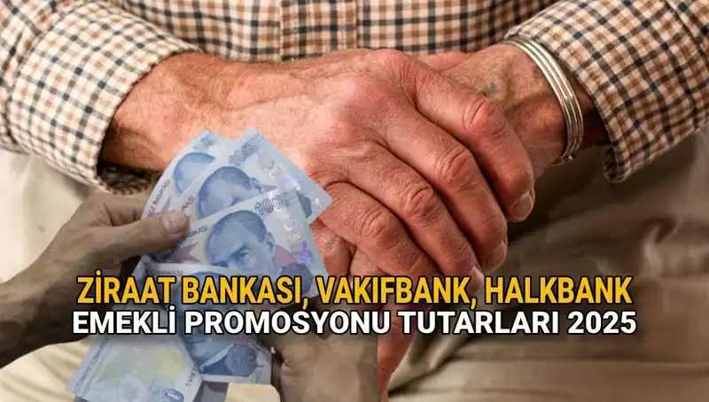 2025 Yılında Emekli Banka Promosyonları: Ziraat, Vakıfbank ve Halkbank’ın Sunmuş Olduğu Fırsatlar