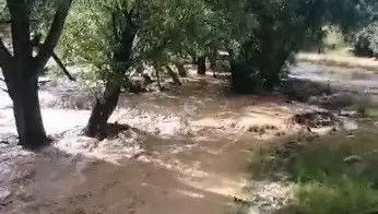 Mersin'de Beklenmedik Sağanak Yağışlar, Sele Neden Oldu: Zararlar ve Önlemler