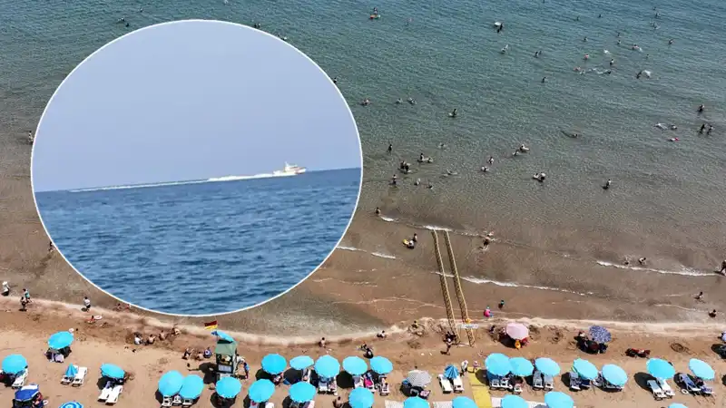 Plajda Köpek Balığı Korkusu: Sahil Güvenlik Harekete Geçti, Gerçek Şok Edici