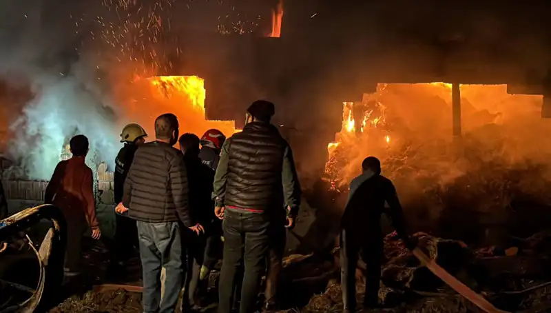 Bolu’da Dehşet Verici Ahır Yangını: Hayvanlar İle Binalar Tehlikede