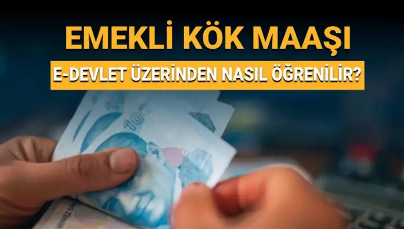 Kök Maaş Öğrenme Rehberi: Nasıl Hesaplanır ve Nereden Bulunur?