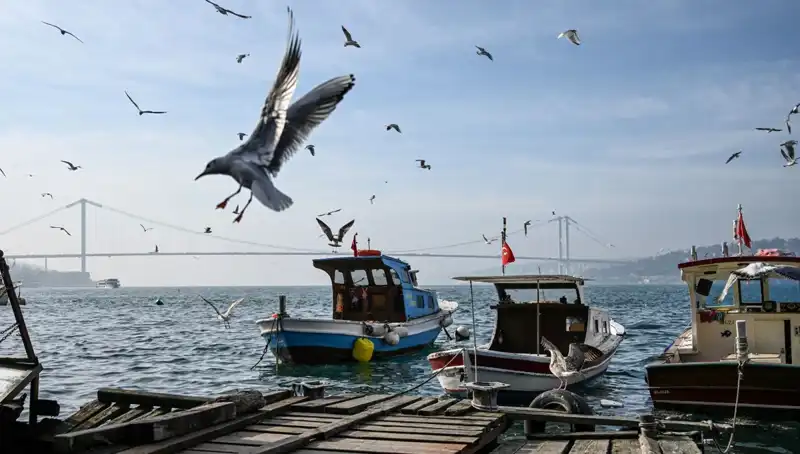 İstanbul'da Bahar Havası Geliyor: Tarih Belirlendi!