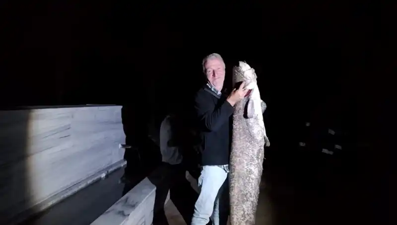 Türkiye'de Bir Balıkçının Oltasında 40 Kiloluk Devasa Balık!