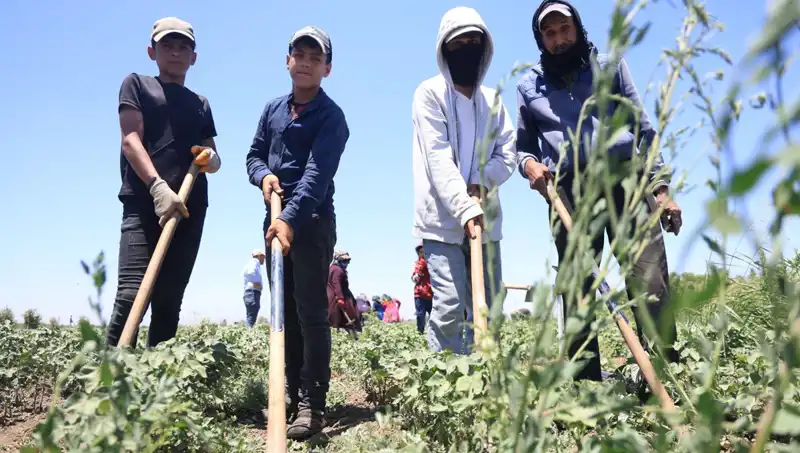 Yazın Kavurucu Sıcaklığına Rağmen Çalışanlar İçin Zorlu Mesai Koşulları