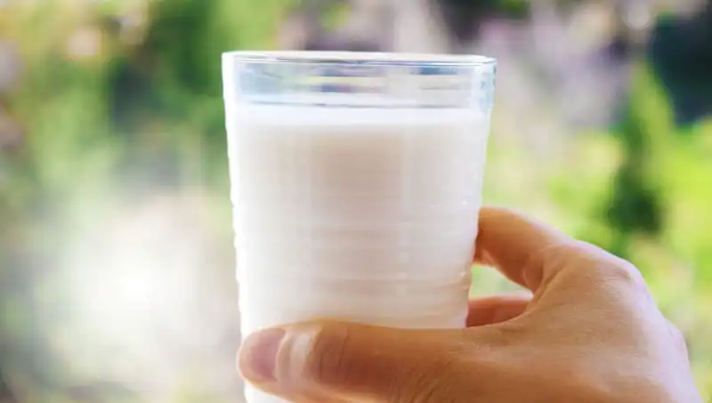 Süt Tüketiminin Şişkinlik Üzerindeki Etkileri: Uzman Görüşü