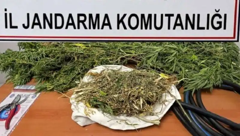 Niğde'de Uyuşturucu Operasyonu: Yaklaşık 5 Kilogram Madde Ele Geçirildi!