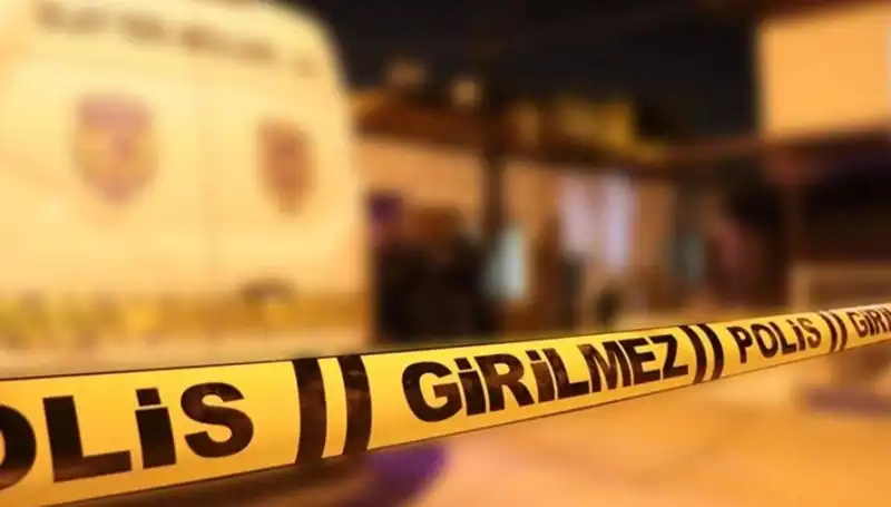 Diyarbakır'da Kayınpeder Dehşeti: Aile İçi Şiddetin Çarpıcı Yüzü