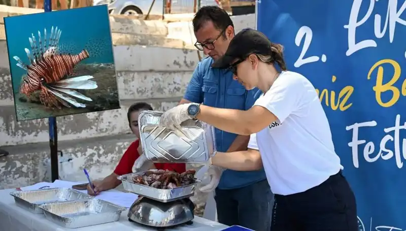 Antalya'da İstilacı Aslan Balığı Avlama Yarışması Düzenlendi: Ekosisteme Katkılar