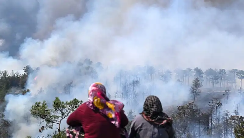 Bursa'daki Yangınlar Söndü, Ancak Hava Kirliliği Sorunu Devam Ediyor