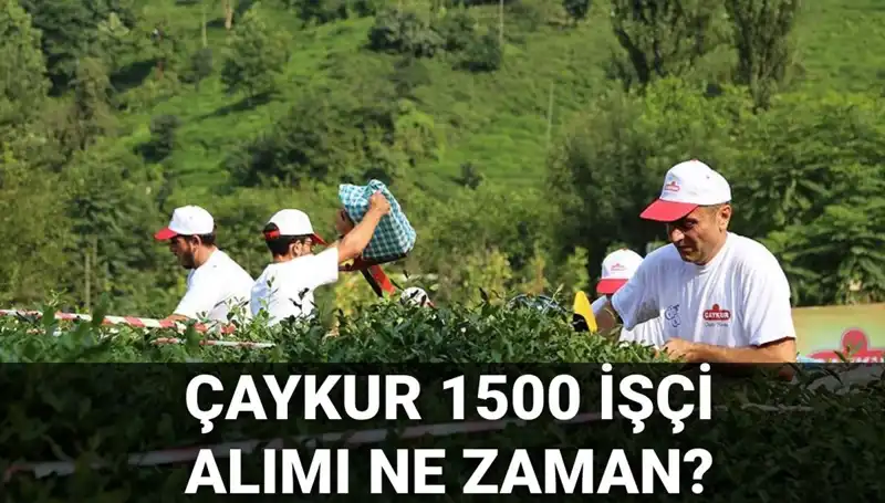 Çaykur İşçi Alımı İçin Başvuru Tarihleri Açıklandı: Son Gelişmeler Neler?