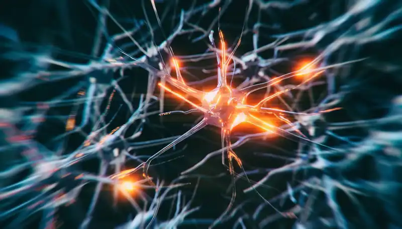 Alzheimer Vakalarındaki Sıra Dışı Artışın Sebepleri Neler?