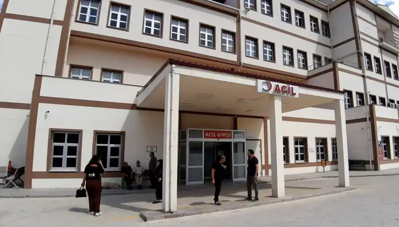 Bolu'da Tartışmalı Ayı Avı Kararı: Doğa Koruma mı Geçim Kaynağı mı?