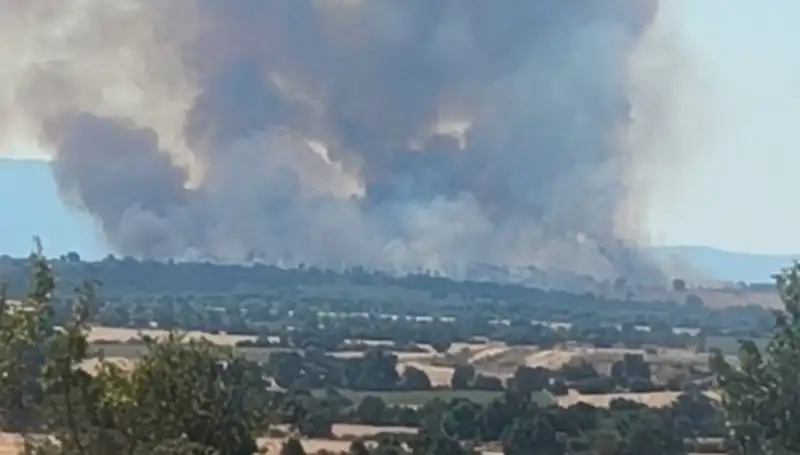 Komşudaki Orman Yangını Edirne'yi Sarmaladı: Duman Alarmı!