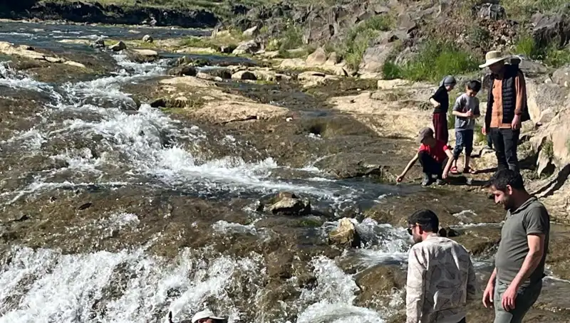 İnci Kefali Göçü: Doğanın Harikası Yüzlerce Turisti Ağırlıyor
