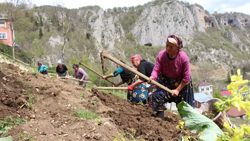 Zorlu Mesai Başladı: Sepetler ve Kazmalarla İş Gücü Mücadelesi