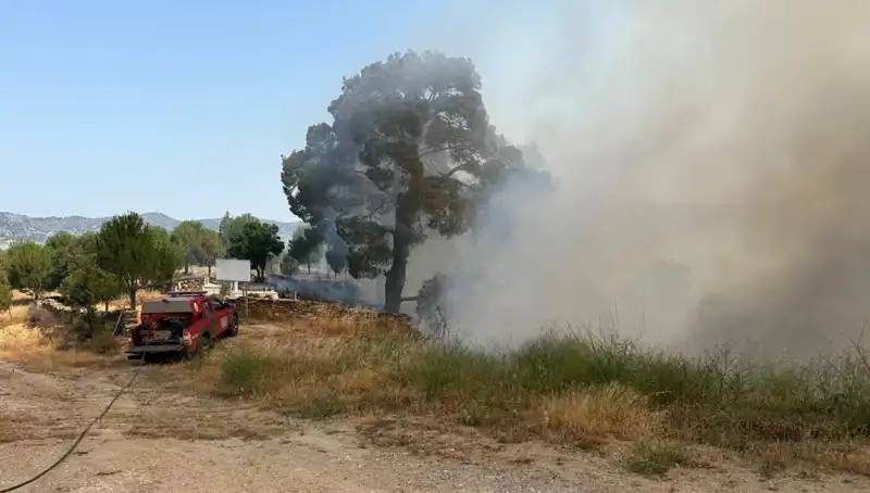 Muğla Orman Yangını: Doğanın Kalbine Tüyler Ürpertici Saldırı
