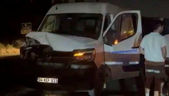 İstanbul'da Manda Kazası: Üç Kişi Yaralandı, Olayın Ayrıntıları Şok Etti