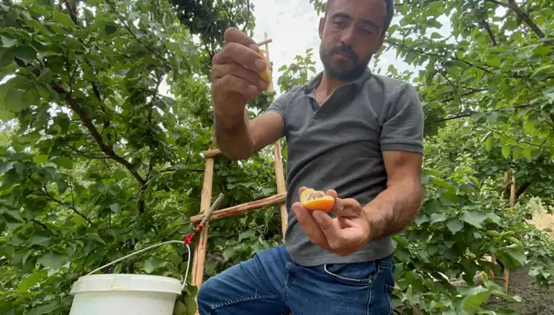 Tümüyle Yerli Üretim 50-70 TL Arasındaki Lezzet Fırtınası