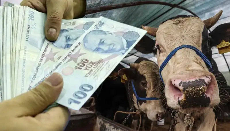 Emekli ve Memurların Maaşları Kurban Bayramı Öncesi Yatacak mı?