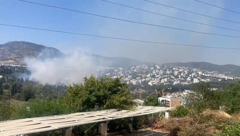 Muğla’da Orman Yangınları Kontrol Altına Alındı: Son Gelişmeler