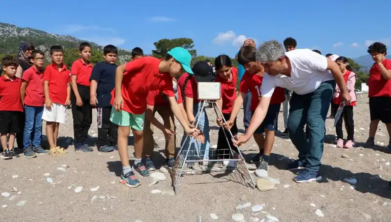 Kemer'de Caretta Caretta Koruma Önerileri ve Yasağı Detayları Açıklandı