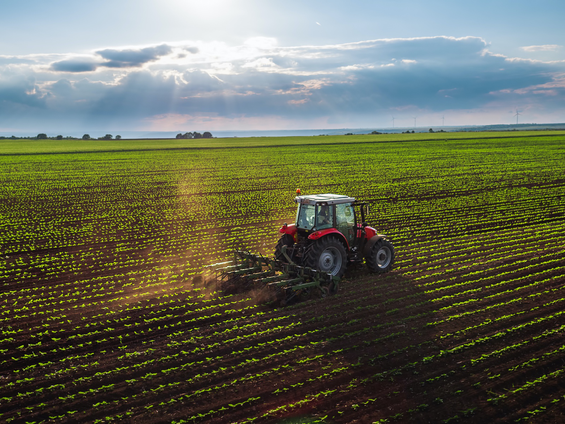 Ekonomik Büyüme Tarımı Neden Kurtaramıyor? Korkutucu Gerçekler!