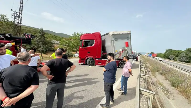 Seyir Halindeyken Arı Soktu: Araç Trafiği Kilitlendi ve Sürücü Şoka Girdi!
