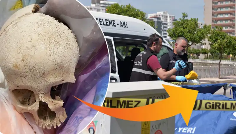 Sitenin Çöpünden Bulunan Kafatası, Üzerine Gizemli Olaylar mı Yaşandı?