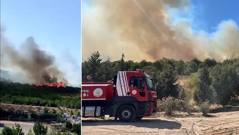 Gebze’de Korkutan Orman Yangını: İtfaiye Ekipleri Seferber Oldu!
